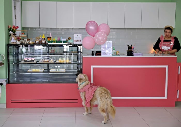 Pet friendly cafe dubai