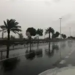 Uae weather sharjah