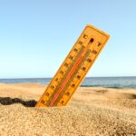 UAE Weather News