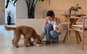 Pet friendly cafe dubai