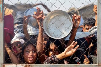 Gaza famine crisis