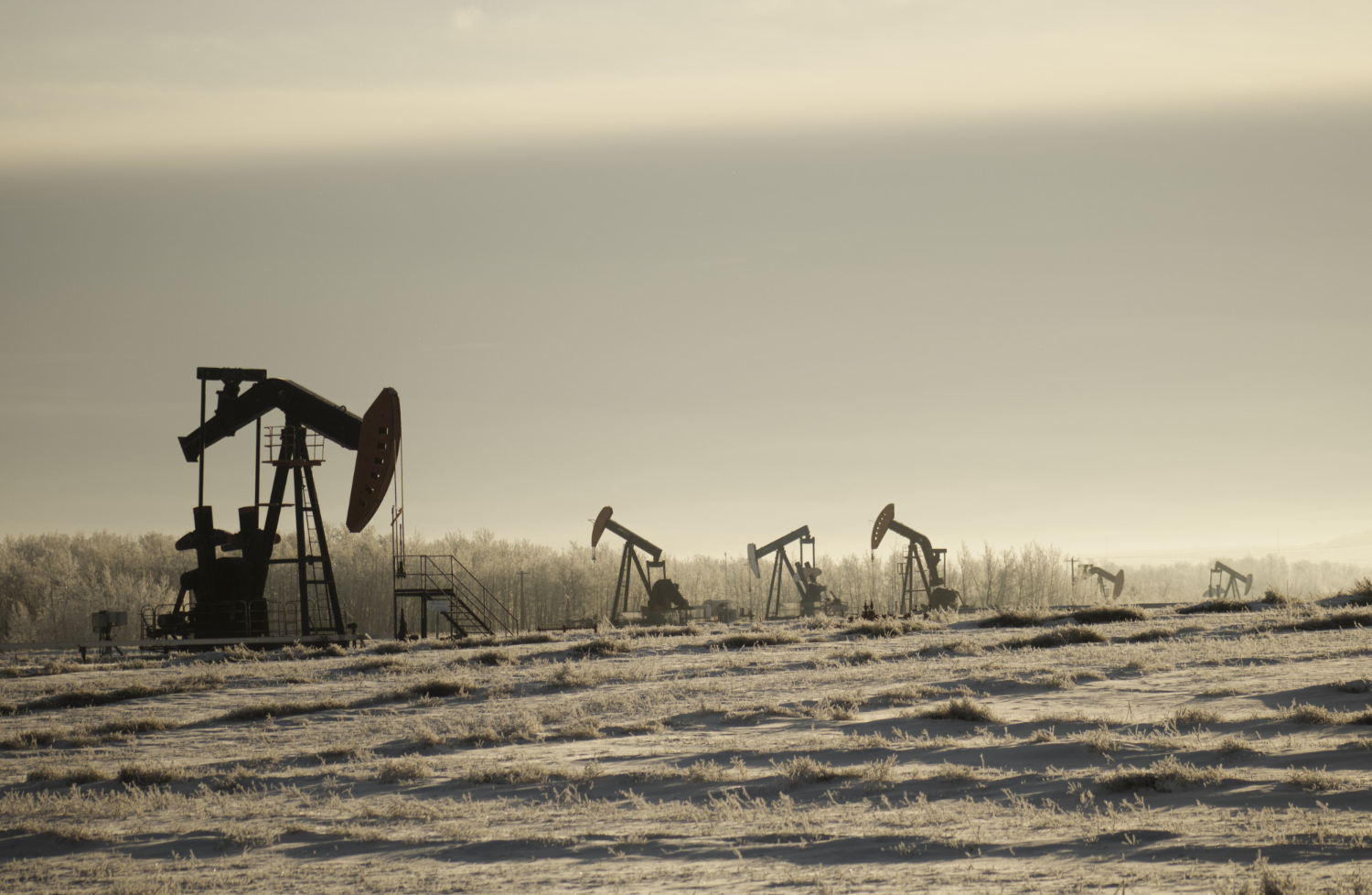OGDCL Pakistan Discovers New Oil and Gas Reserves in Sindh