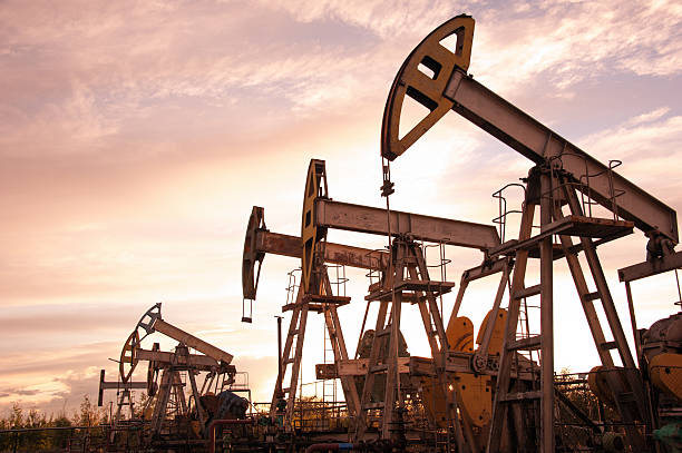 OGDCL Pakistan Discovers New Oil and Gas Reserves in Sindh