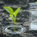 Agriculture in UAE goes high-tech with global AI certification