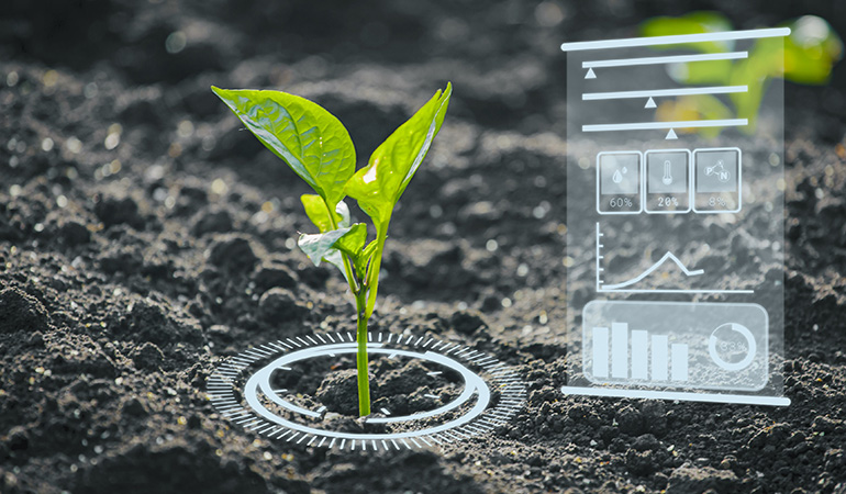 Agriculture in UAE goes high-tech with global AI certification