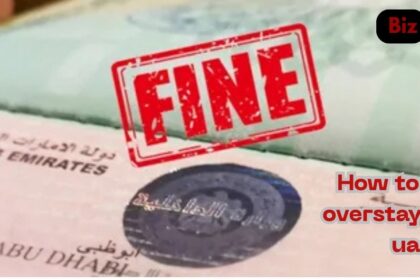 how to check overstay fine in UAE