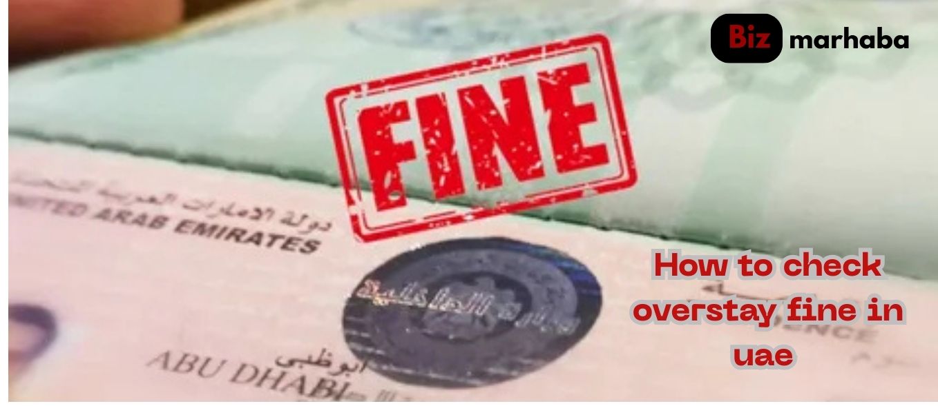 how to check overstay fine in UAE