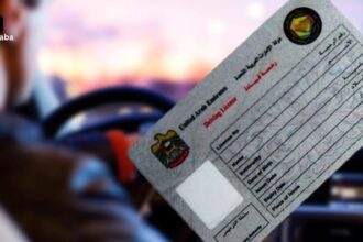 UAE Driving License