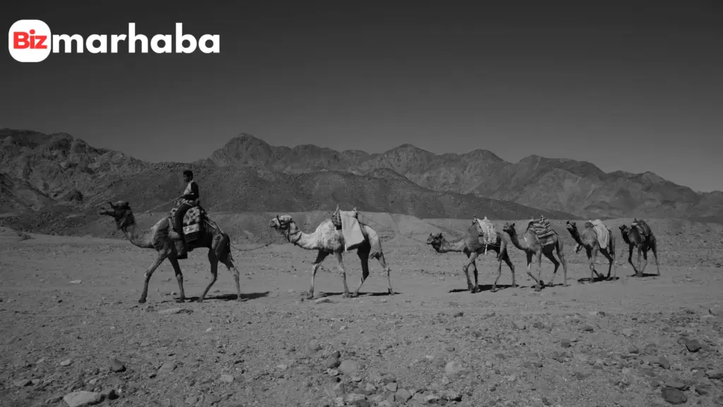 Desert safari Dubai timings guide with red dunes, desert camping Dubai, and tips on what to wear in Dubai desert safari.