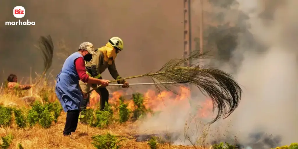 Portugal wildfires update as Spain wildfire spreads, causing deaths, evacuations, and massive forest losses across Europe.