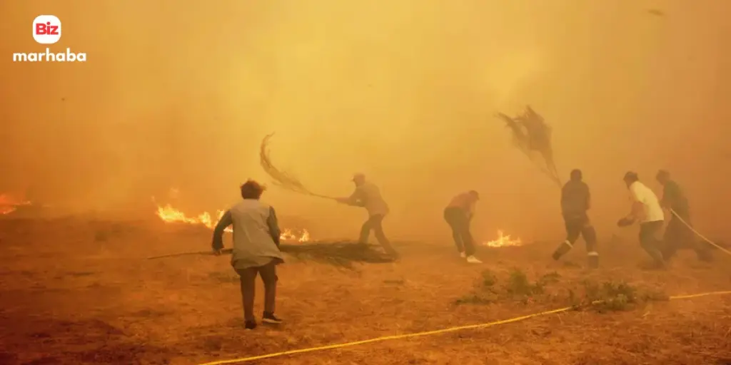 Portugal wildfires update as Spain wildfire spreads, causing deaths, evacuations, and massive forest losses across Europe.