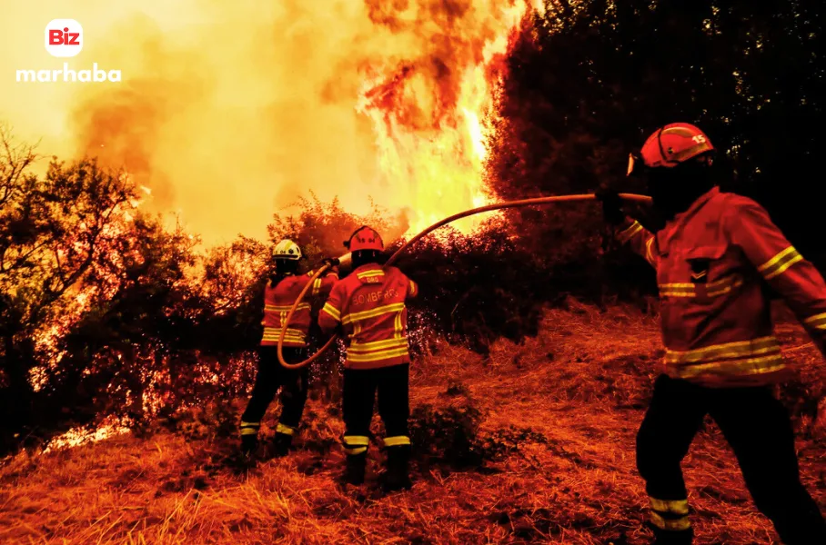 Portugal wildfires update as Spain wildfire spreads, causing deaths, evacuations, and massive forest losses across Europe.