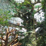 Indoor attractions in Dubai
