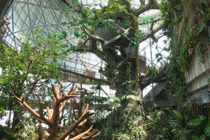 Indoor attractions in Dubai