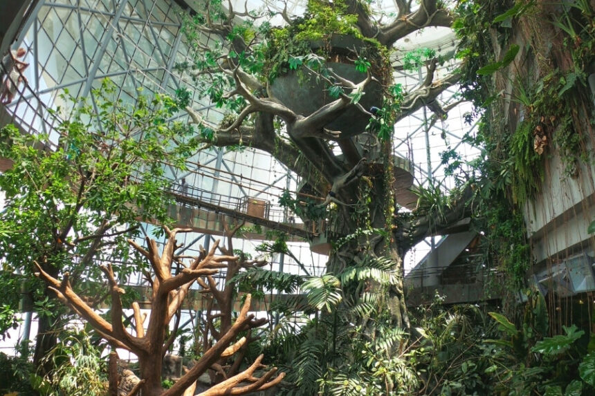 Indoor attractions in Dubai
