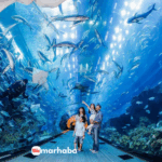 places to go in Dubai with family