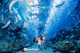 places to go in Dubai with family