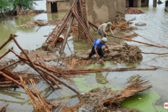 Above Normal Flood Alert Pakistan 2025 | Flood Updates