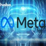 Meta 2025