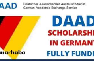 DAAD scholarship 2025