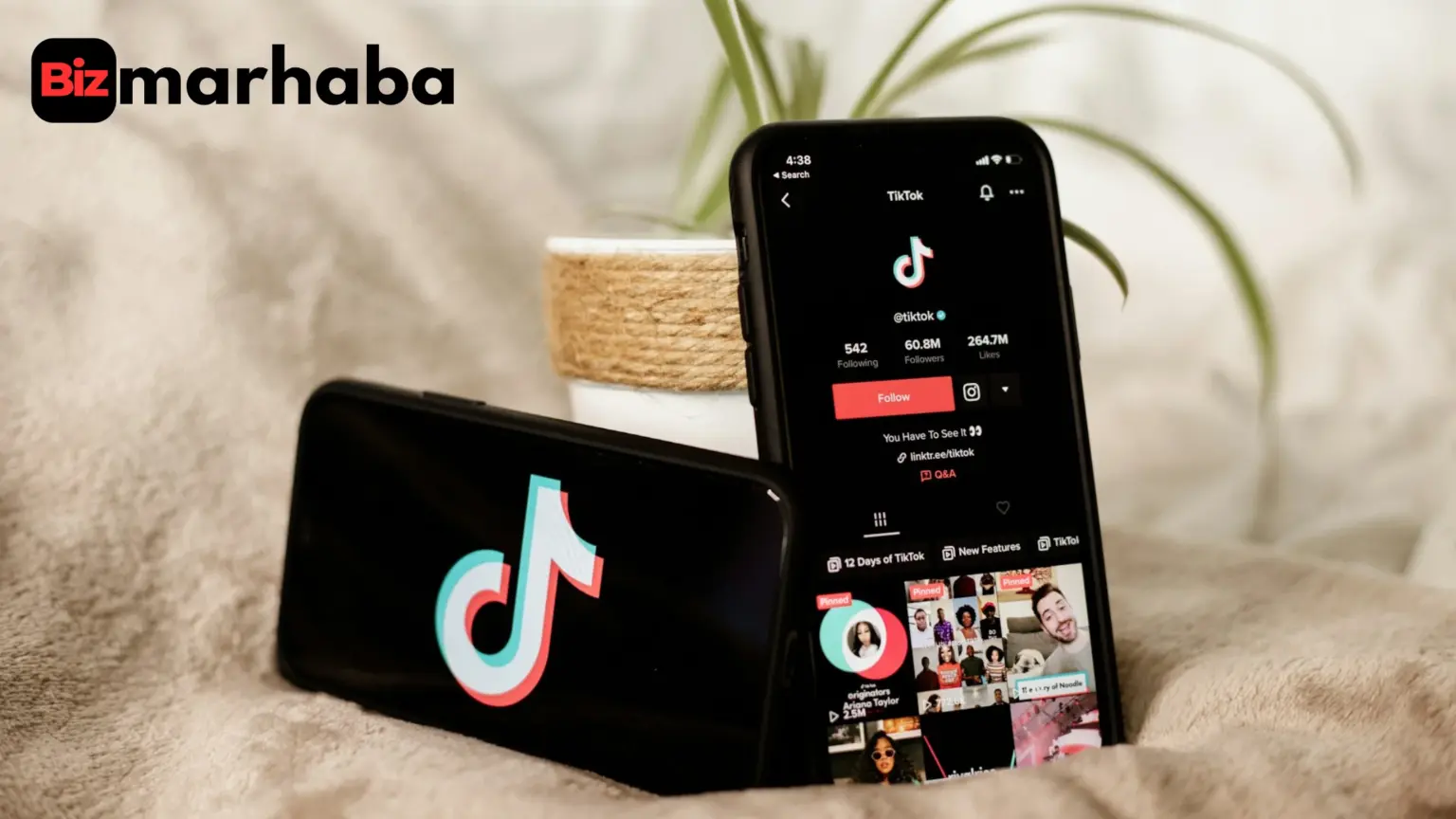 How Much Does TikTok Pay Per View explained with payouts from 1,000 to 1 million views.