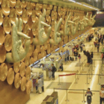 India launches e-Arrival Card for travellers from 1 October
