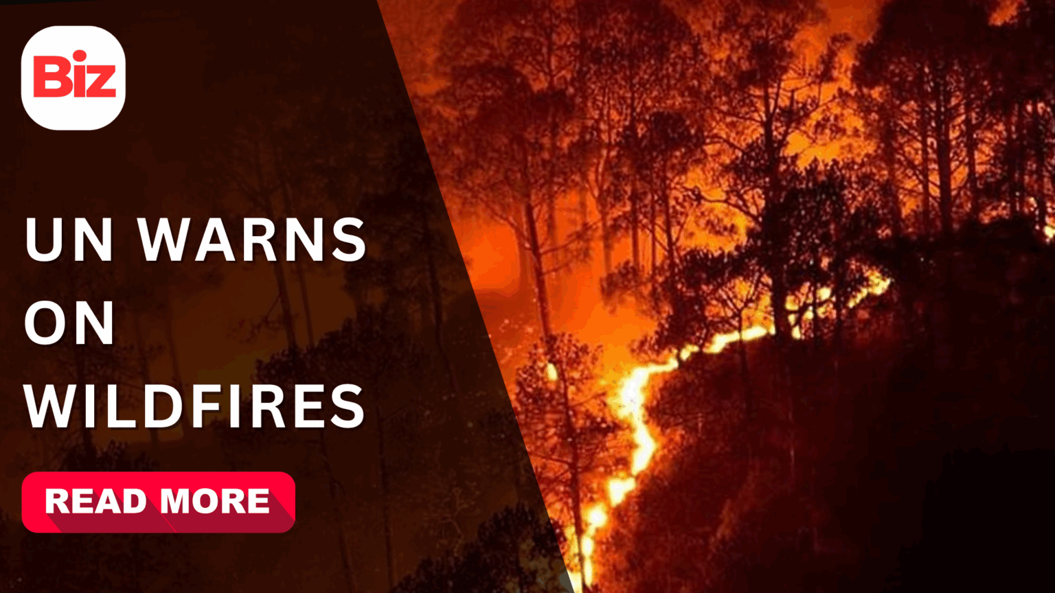 How do wildfires start and fuel air pollution? UN raises alarm