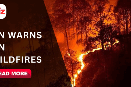 How do wildfires start and fuel air pollution? UN raises alarm
