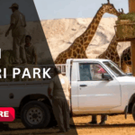 Read more about Dubai Safari Park - Wildlife Sanctuary in Dubai