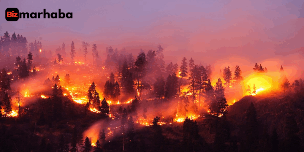 How do wildfires start and fuel air pollution?