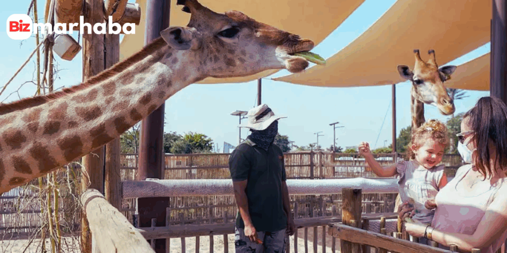 Read more about Dubai Safari Park - Wildlife Sanctuary in Dubai