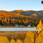 Big Bear Lake, California – A Four-Season Mountain Escape for Nature Lovers